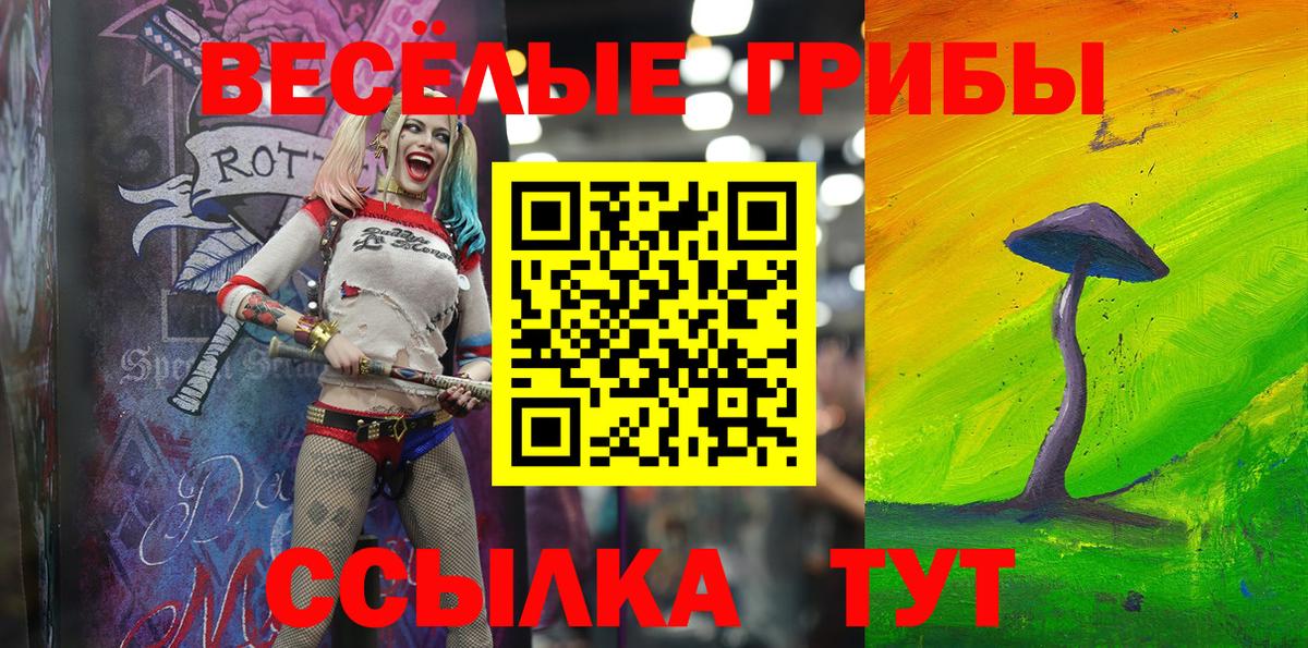 Сосновый Бор  Галлюциногенные грибы Psilocybe  Вход с VPN 