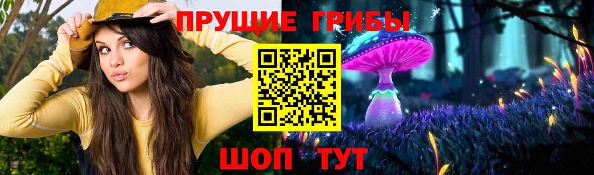 Галлюциногенные грибы мицелий Сосновый Бор